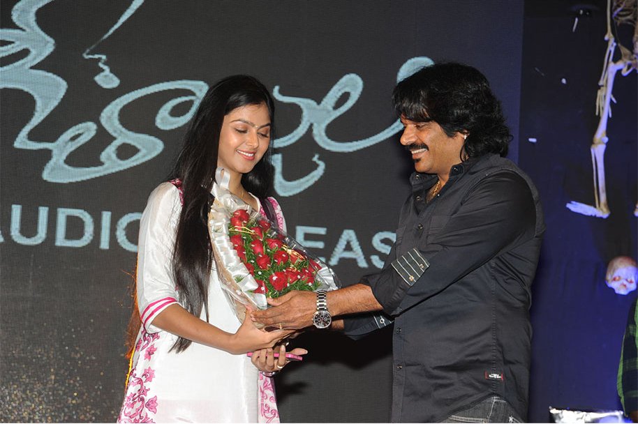 Geethanjali-Audio-Launch